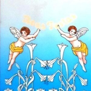 Aerograma do Brasil de 1980 Natal 80 M10 b