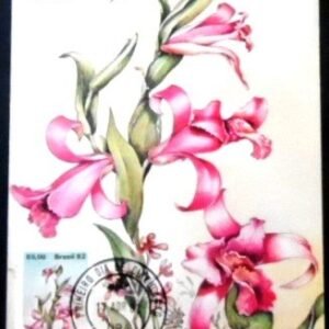 Máximo postal nº 70 de 1982 Orquídea 85 MG 17564