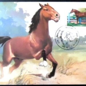 Máximo postal nº 107 de 1985 Campolina