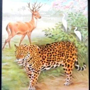 Cartão postal do Brasil de 1984 Ave e Onça