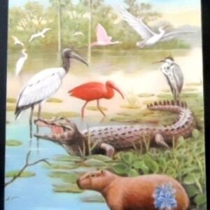 Cartão postal do Brasil de 1984 Capivara e Jacaré