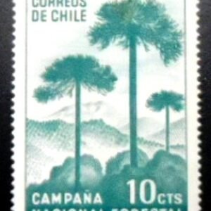 Selo postal do Chile de 1967 Araucária M