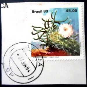 Selo postal do Brasil de 1983 Xique-xique U aruja