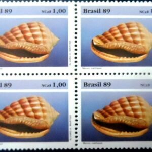 Quadra de selos postais do Brasil de 1989 Morum Matthewsi M QD