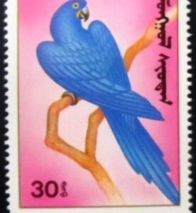 Selo postal da Mongólia de 1990 Hyacinth Macaw M