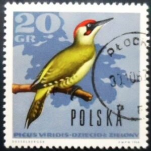 Selo postal da Polônia de 1966 European Green Woodpecker MCC
