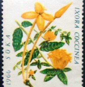 Selo postal da Indonésia de 1966 Jungle Flame N