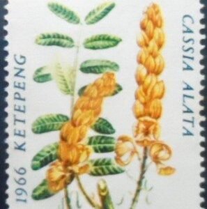 Selo postal da Indonésia de 1966 Candelabra Bush N