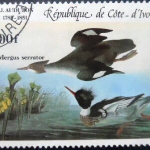 Selo postal da Costa do Marfim de 1985 Red-breasted Merganser MCC