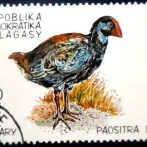 Selo postal de Madagascar de 1991 Grey-headed Swamphen 210 MCC
