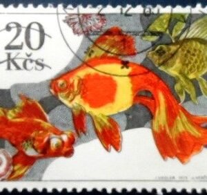 Selo postal da Tchecoslováquia de 1975 Veil-tailed Goldfish MCC