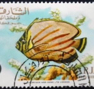 Selo postal de Khor Fakkan de 1966 MCC