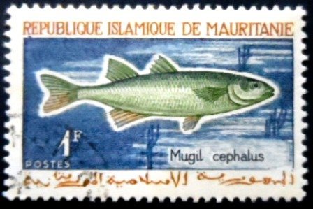 Selo postal da Mauritânia de 1964 Flathead Grey Mullet MCC