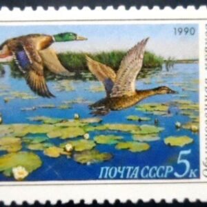 Selo postal da União Soviética de 1990 Mallard M