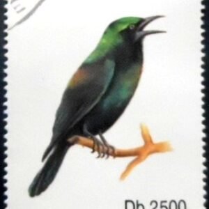 Selo postal de São Tomé e Príncipe de 1992 Splendid Sunbird MCC