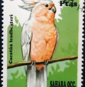 Selo postal do Saara Ocidental de 1994 Pink cockatoo MCC