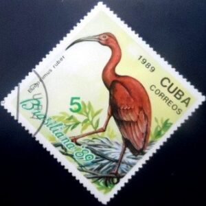 Selo postal de Cuab de 1989 Scarlet Ibis NCC