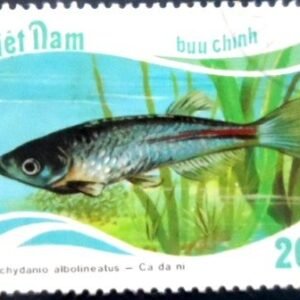 Selo postal do Vietnam de 1988 Pearl Danio NCC