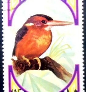 Selo postal de Ras Al Khaima de 1972 African Pygmy Kingfisher NCC