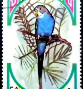 Selo postal de Ras Al Khaima de 1972 Budgerigar NCC