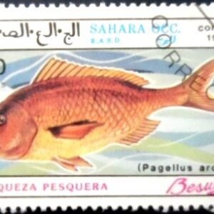 Selo postal do Sahara Ocidental de 1991 Sea bream NCC