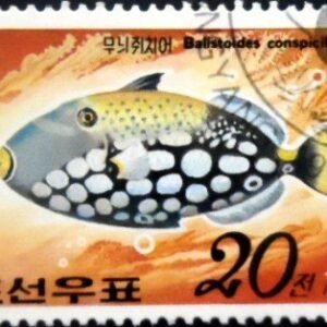 Selo postal da Córéia do Norte de 1991 Clown Triggerfish MCC