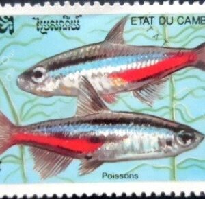 Selo postal do Camboja de 1992 Neon Tetra MCC