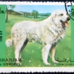 Selo postal de Sharjah de 1972 Rough Collie MCC A
