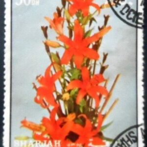 Selo postal de Sharjah de 1972 Fire lilies NCC A
