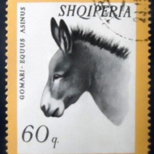 Selo postal da Albânia de 1966 Donkey NCC
