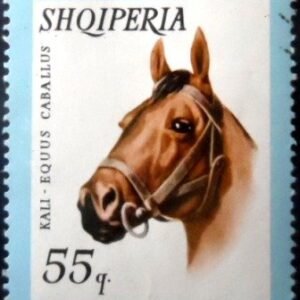 Selo postal da Albânia de 1966 Horse NCC