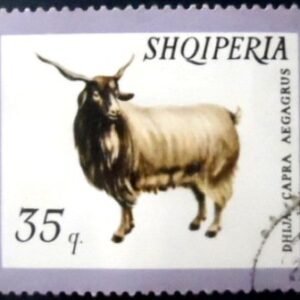 Selo postal da Albânia de 1966 Domestic Goat NCC