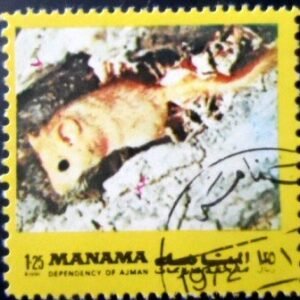 Selo postal de Manama de 1972 Mouse MCC