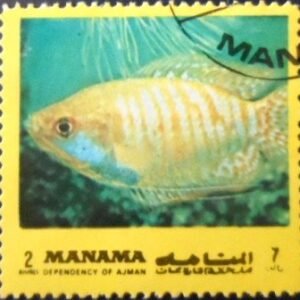 Selo postal de Manama de 1972 Fish MCC