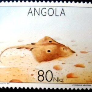Selo postal de Angola de 1982 Brown Ray 80 M