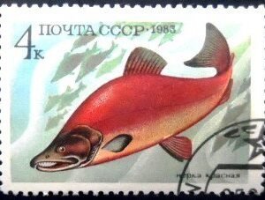 Selo postal da União Soviética de 1983 Sockeye Salmon NCC