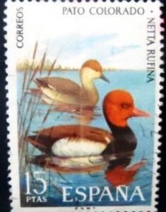 Selo postal da Espanha de 1973 Red-crested Pochard U