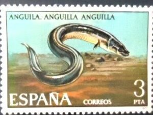 Selo postal da Espanha de 1977 European Eel M