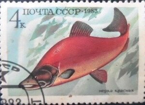 Selo postal da União Soviética de 1983 Sockeye Salmon U