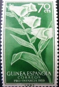 Selo postal da Guiné Espanhola de 1959 Digitalis purpurea 70 N