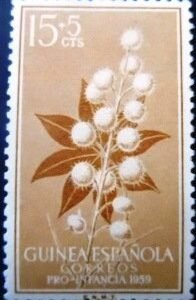 Selo postal da Guiné Espanhola de 1959 Ricinus communis 15 M