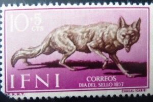 Selo postal de IFNI de 1957 Golden Jackal N