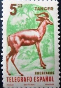 Selo postal Cinderela do Tanger de 1955 Huerfanos de Telegrafo Espanol N