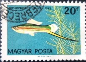 Selo postal da Hungria de 1962 Green Swordtail NCC A