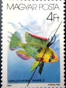 Selo postal da Hungria de 1987 HRam Cichlid U A