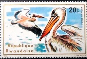 Selo postal de Ruanda de 1975 Great White Pelican N