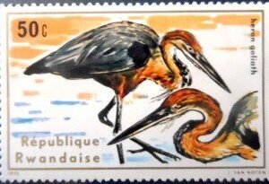 Selo postal de Ruanda de 1975 Goliath Heron N