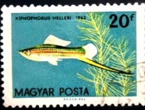 Selo postal da Hungria de 1962 Green Swordtail U A