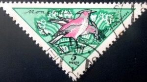 Selo postal da Mongólia de 1961 Rosy Starling U