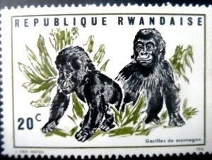 Selo postal da Ruanda de 1970 Mountain Gorilla n a